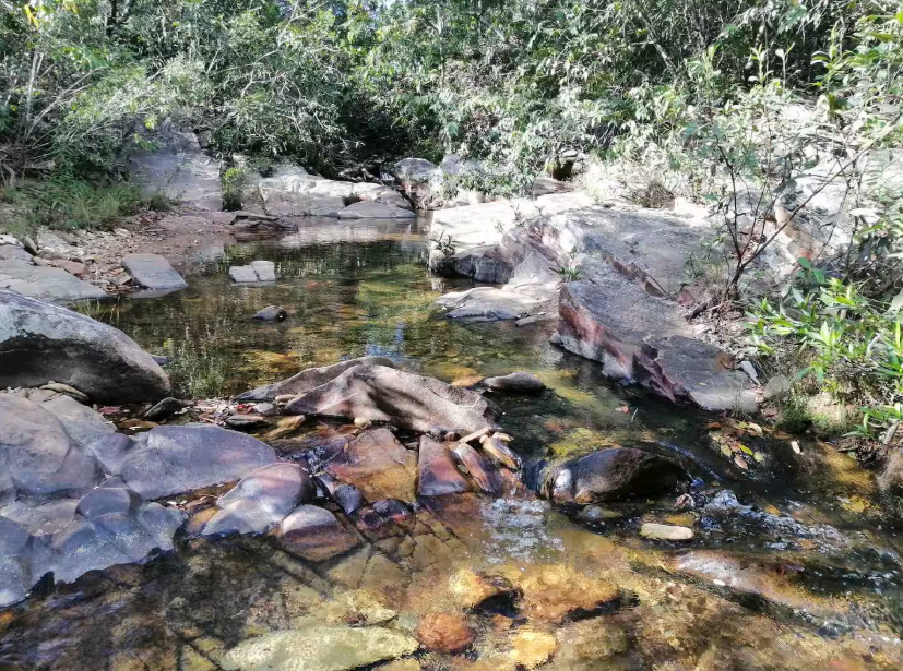 Captura de tela 2025-06-11 013041