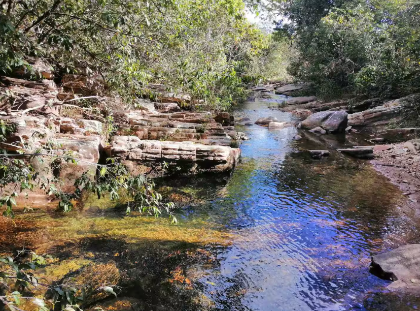 Captura de tela 2025-06-11 013054