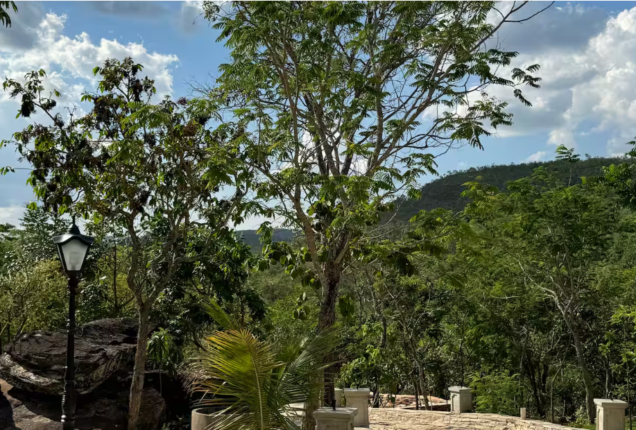 Captura de tela 2025-06-11 013630